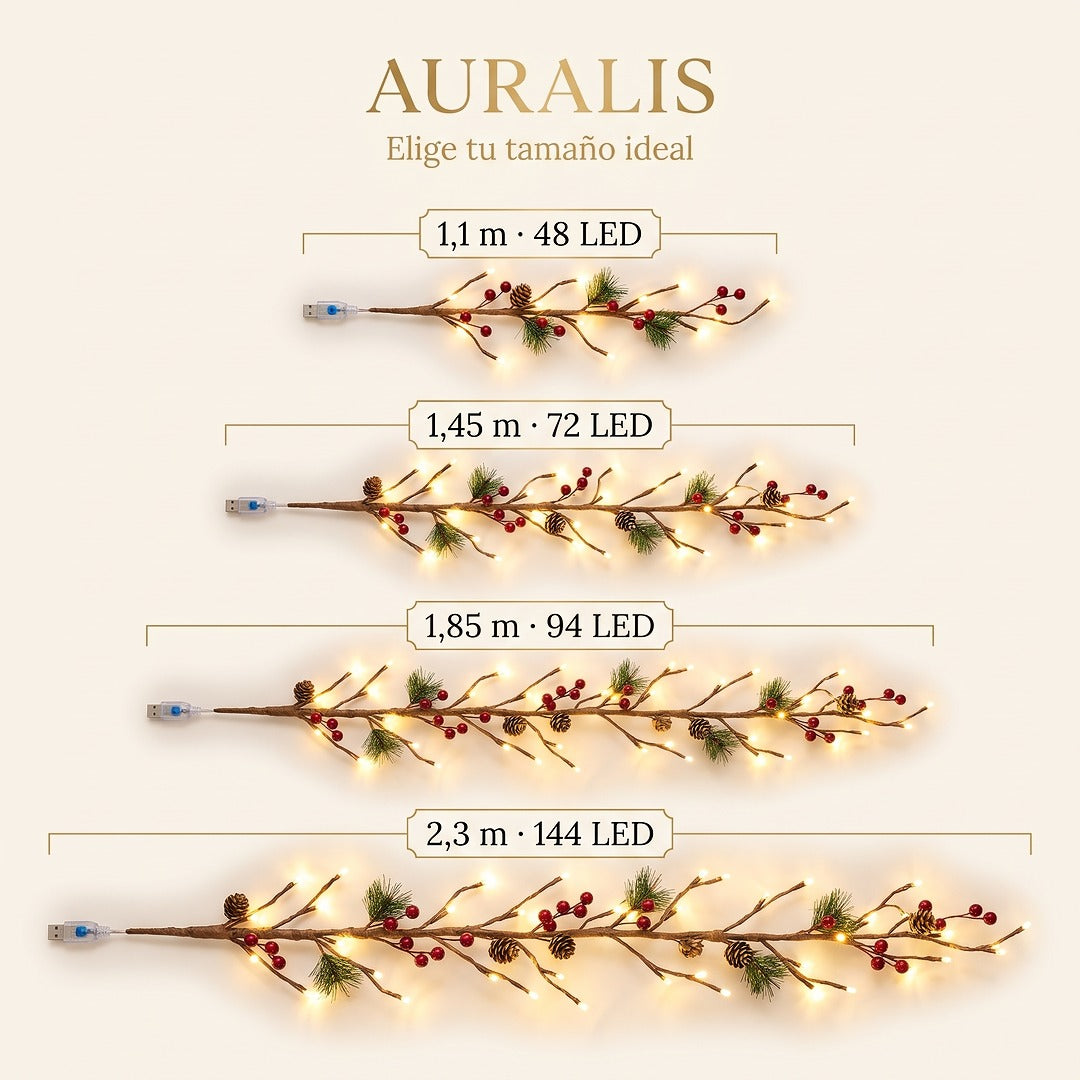 Auralis | Rama de Luces LED Decorativa para Pared